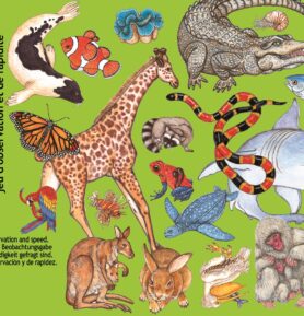 DJECO Karetní hra Zanimatch