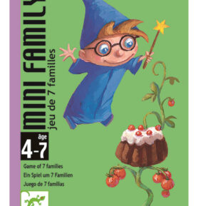 DJECO Karty Mini Family