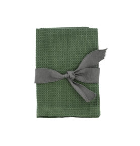 Södahl Kuchyňská utěrka 30x30 2ks Spectrum Green